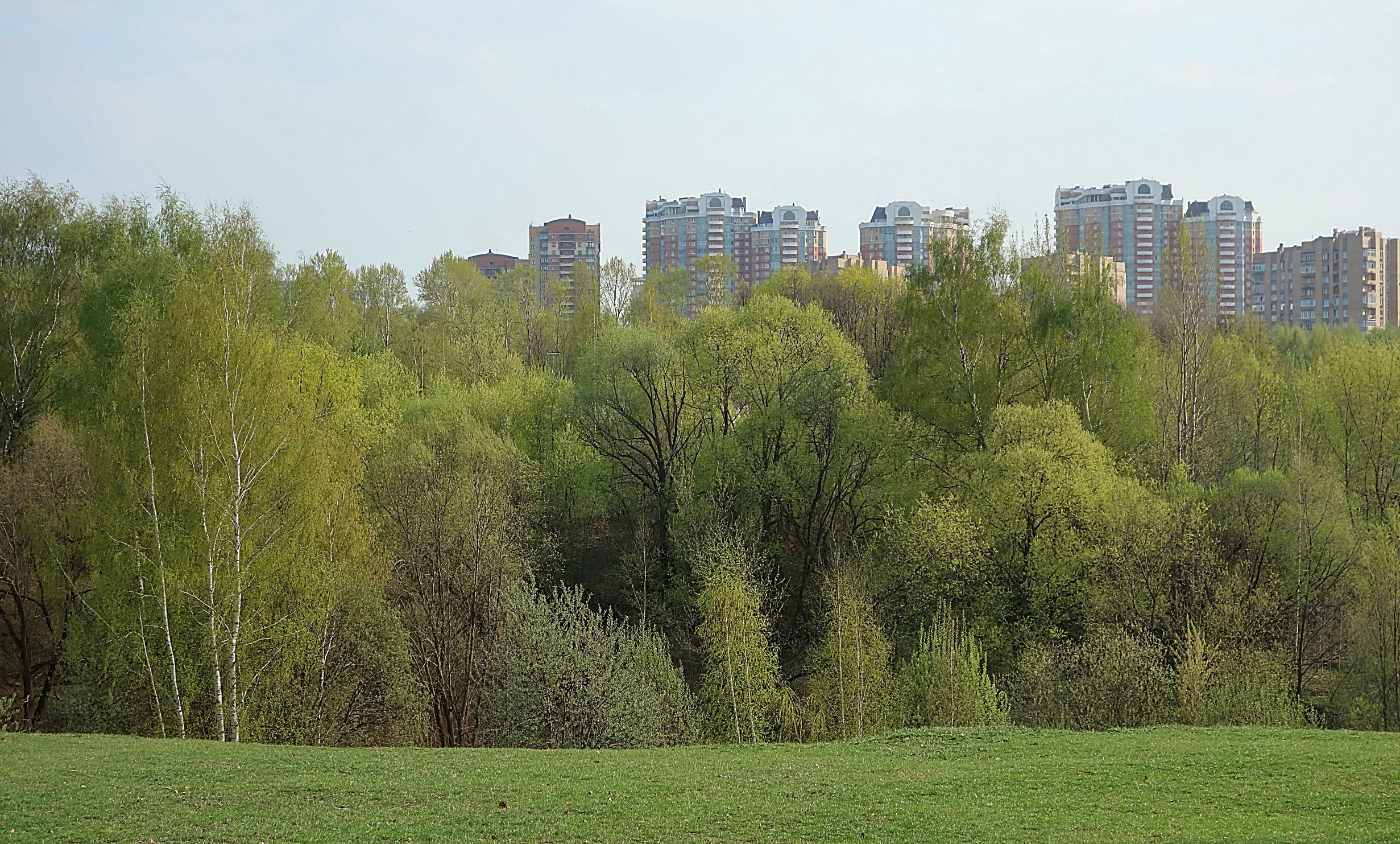 Долина р. Раменки в парке. Фото Морошкина В.В.