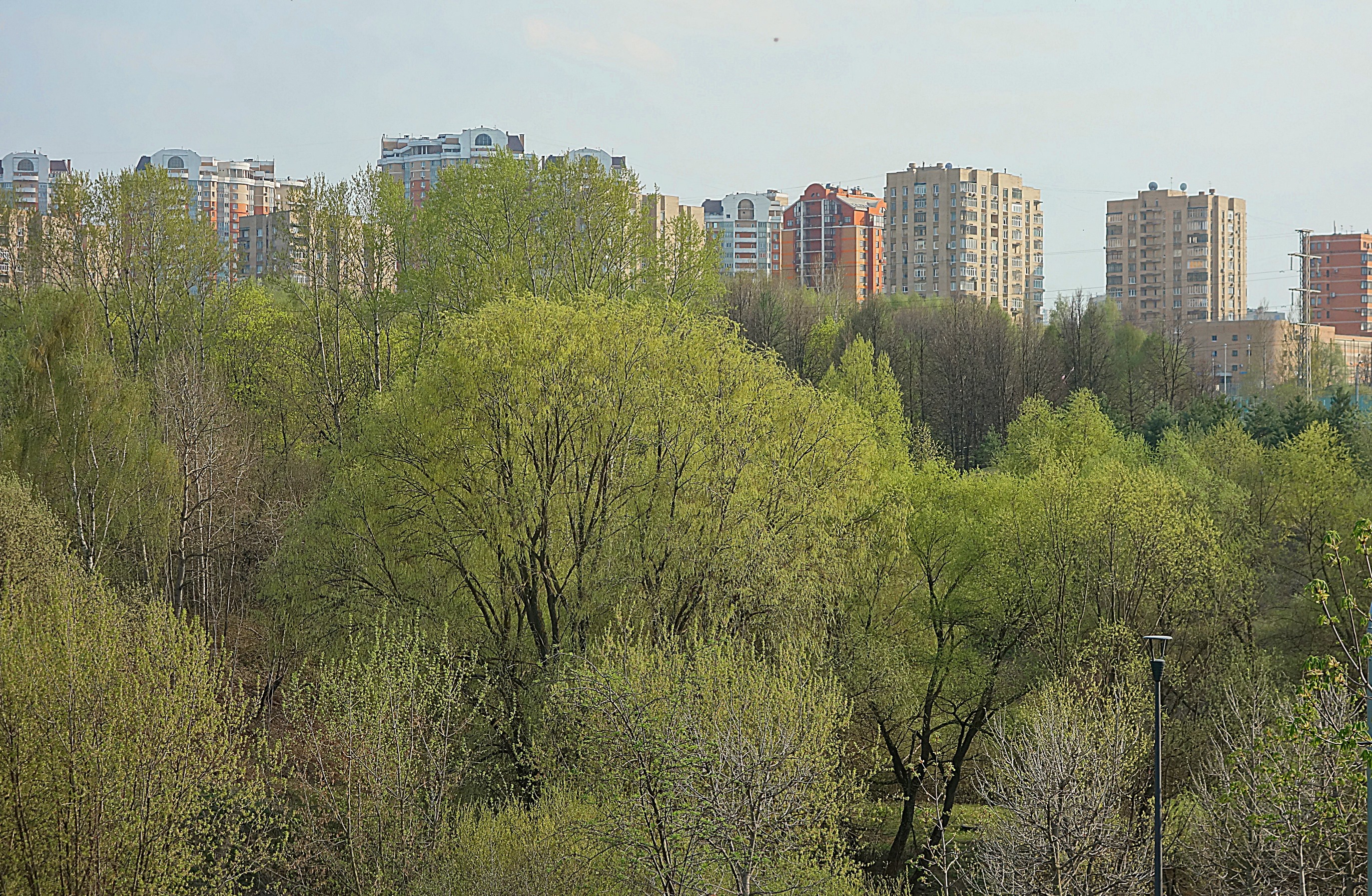 В парке 50-летия Октября в мае. Фото Морошкина В.В.