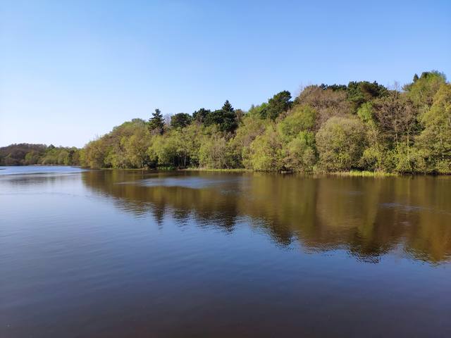 Публикувано изображение