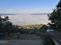 Публикувано изображение