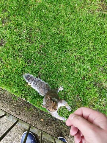 Публикувано изображение