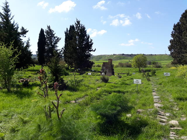 На машине по Кипру в марте 2019 На машине по Кипру в марте 2019