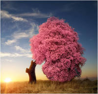 фото Марты Боррегуеро