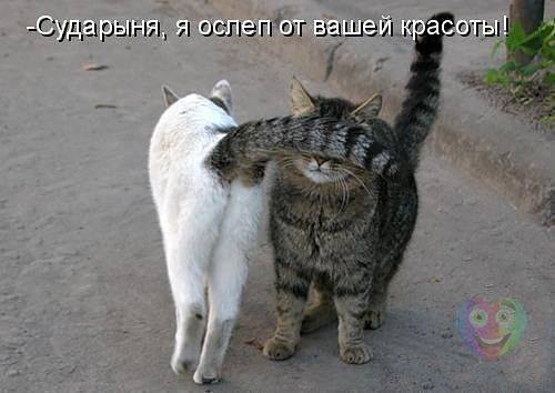 http://images.vfl.ru/ii/1558705064/2e8abcd9/26645230_m.jpg