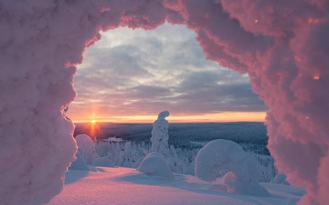 Снег пропитан розовым солнцем в национальном парке Ризитунтури в Финляндии.