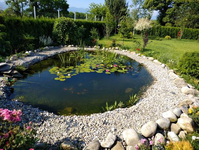 Публикувано изображение