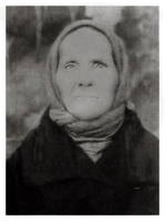 ВГД (02) 461х615