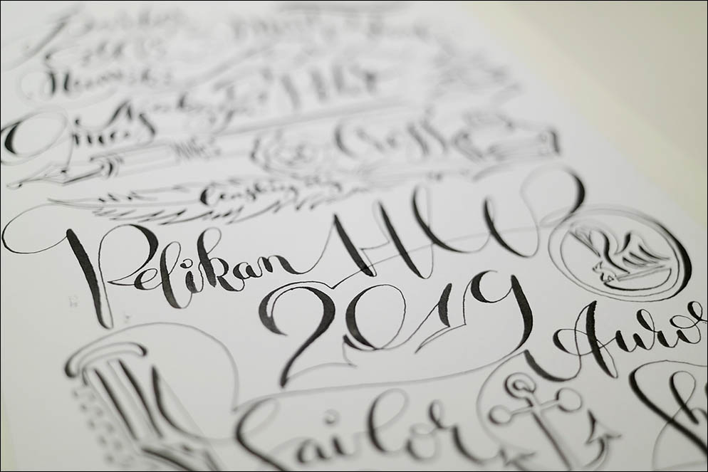 PelikanHUB 2019 project. Lenskiy.org
