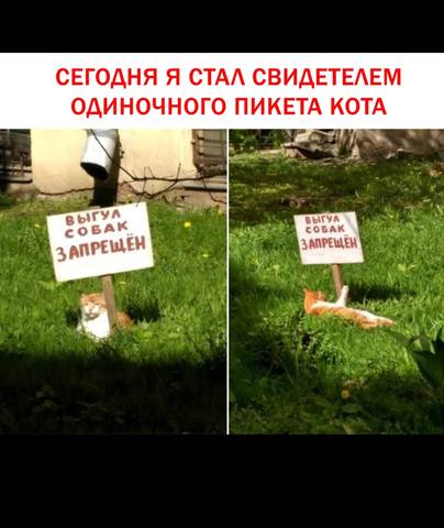 26777167_m.jpg