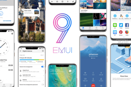 Публикувано изображение