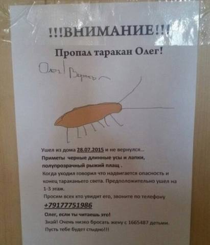 26782670_m.jpg