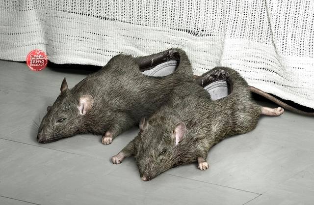 Посмеялся сам - поделись с другом!!!