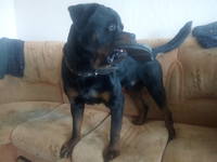 VFL.RU - ваш фотохостинг