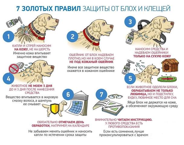 Человек собаке друг!!!