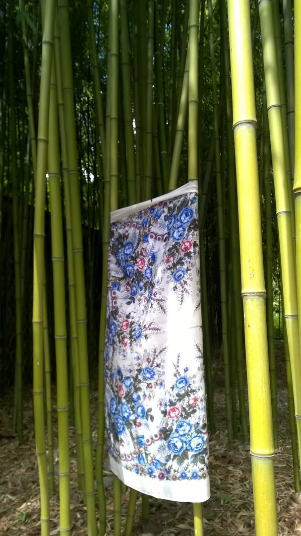 Весеннее утро среди бамбука