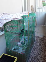 VFL.RU - ваш фотохостинг