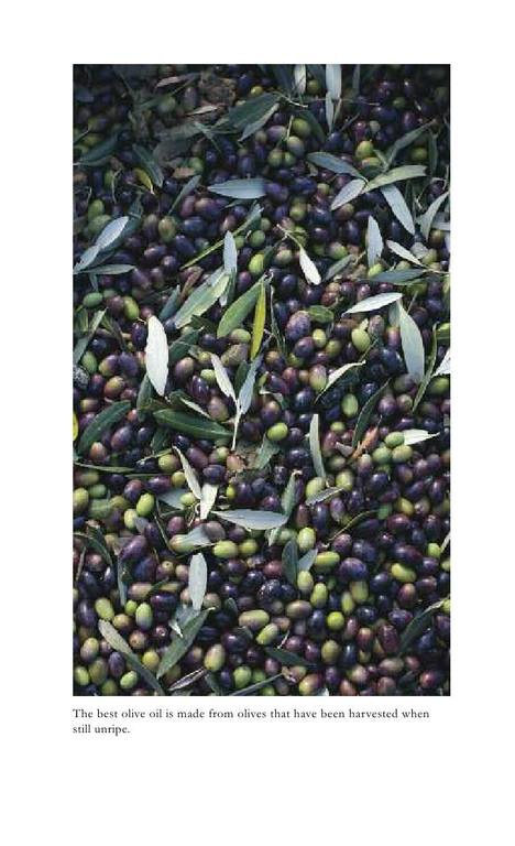 epdf.tips olive-a-global-history 15