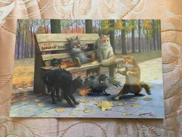 http://images.vfl.ru/ii/1561392945/b19dbb97/26991616_m.jpg