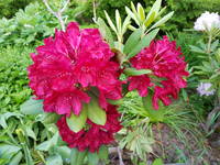 VFL.RU - ваш фотохостинг