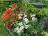 VFL.RU - ваш фотохостинг