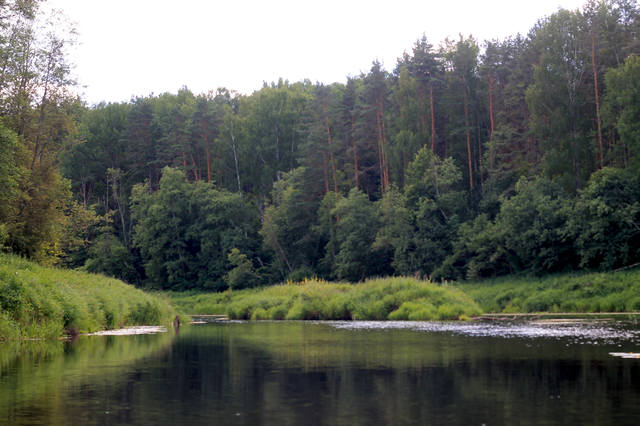 С голенькой жопкой в парке