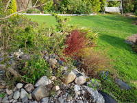 VFL.RU - ваш фотохостинг