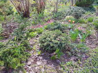 VFL.RU - ваш фотохостинг