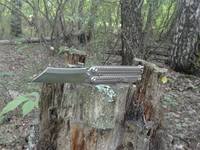 VFL.RU - ваш фотохостинг