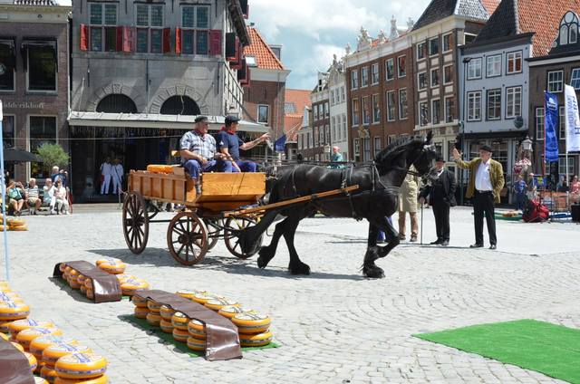 Сырные истории, или Сыроварня дома