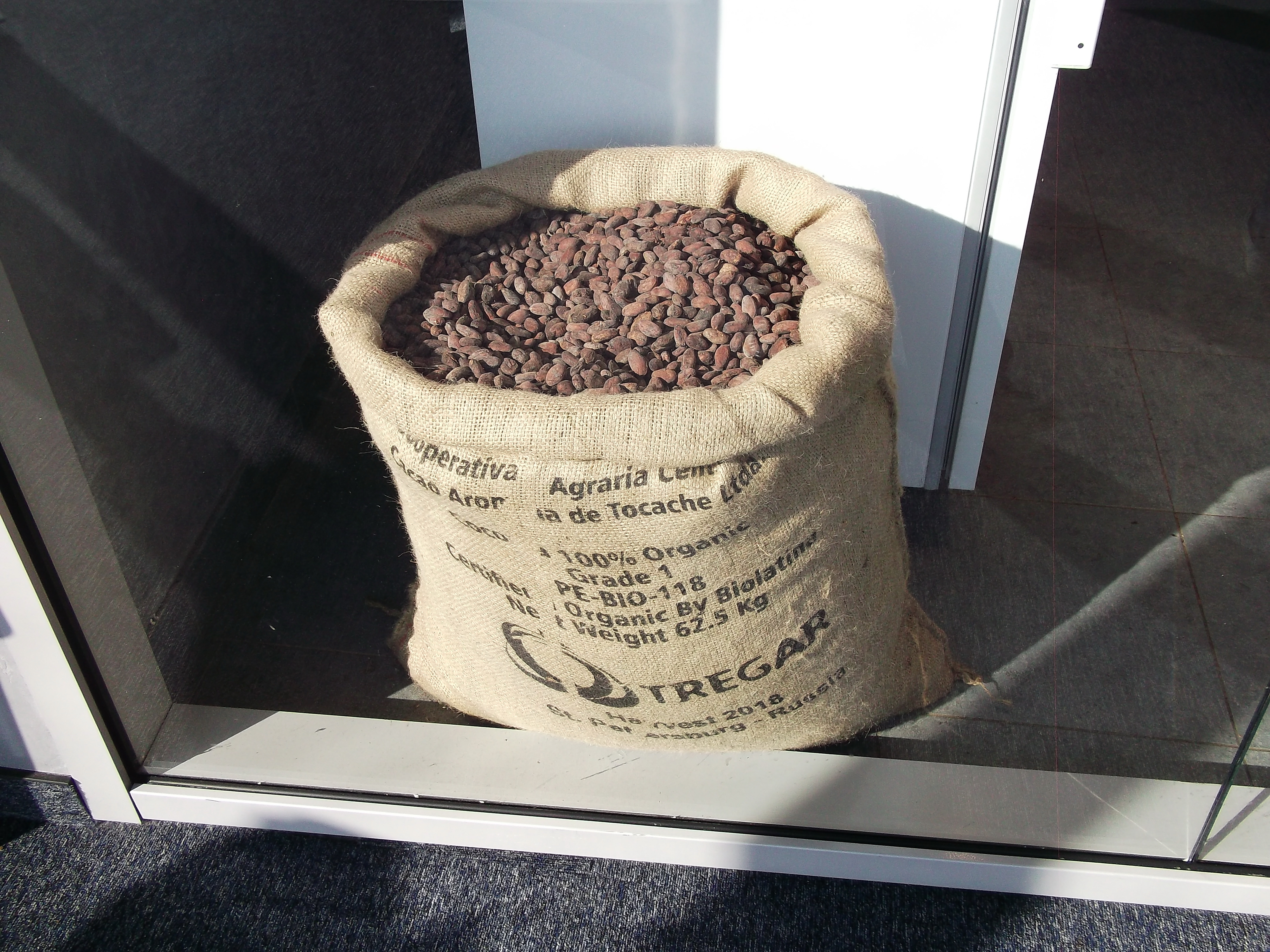 DSCF2860-какао-бобы