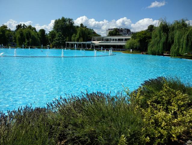 Публикувано изображение