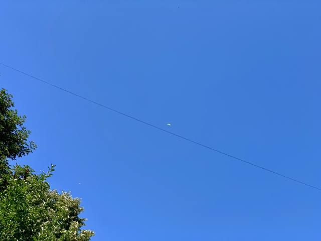 Публикувано изображение