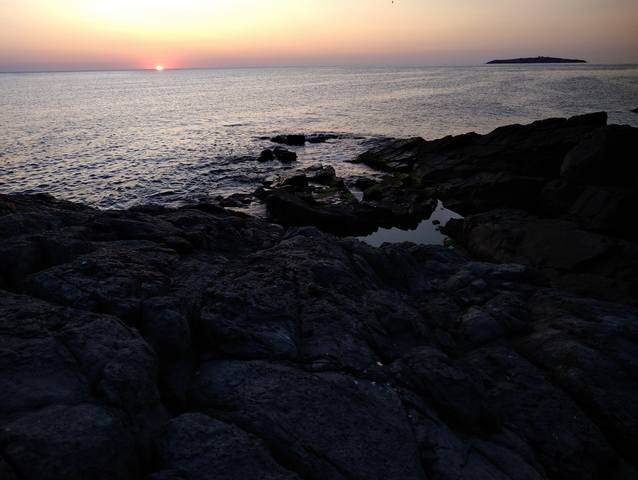 Публикувано изображение