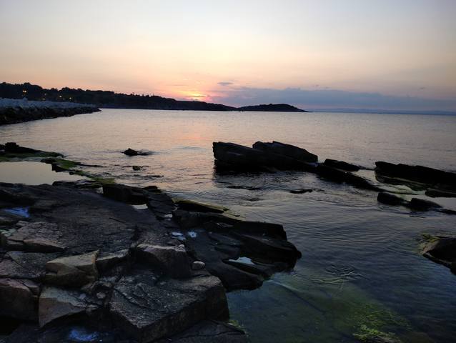 Публикувано изображение