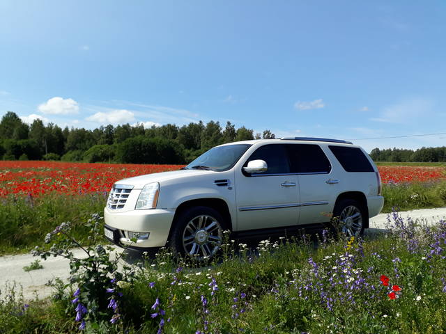 American Beauty Car Show и замки Эстонии