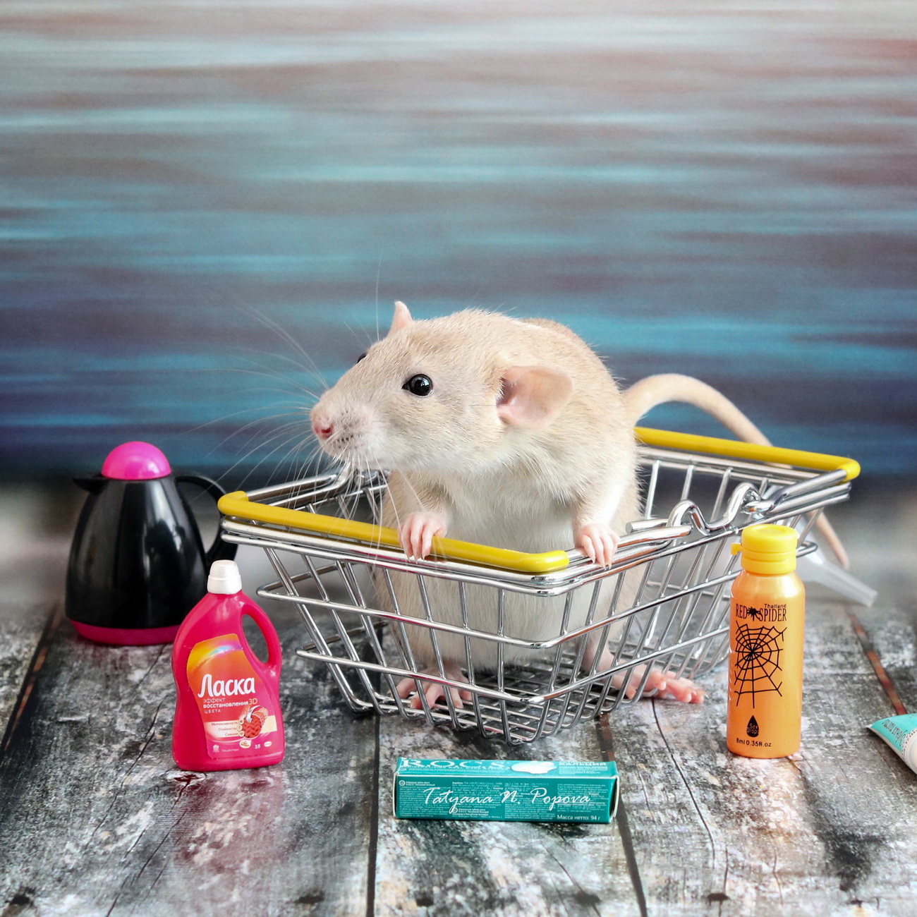 Циня 2019-07-19 (2) -КВ -МАЛ