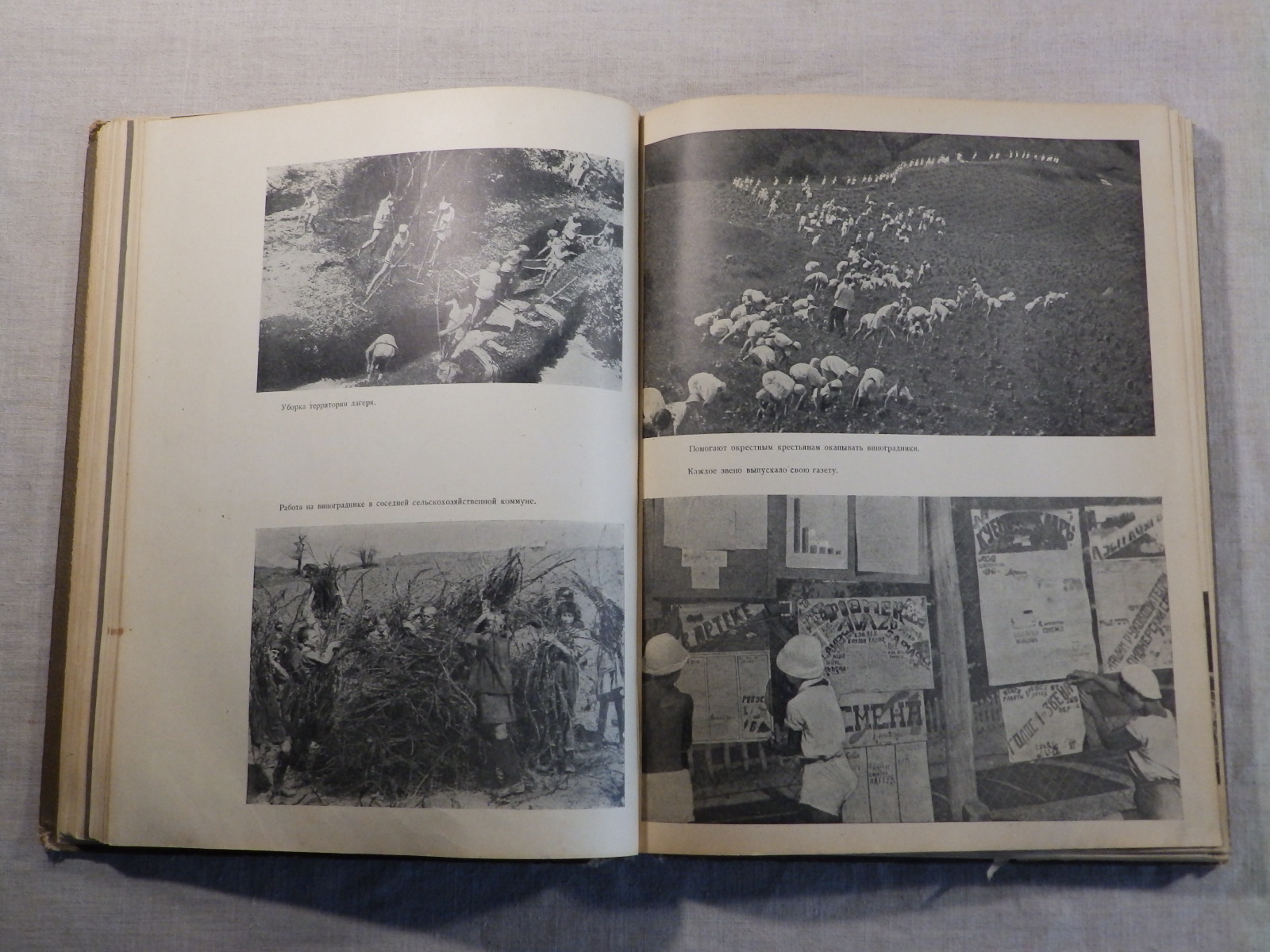 1940 год «АРТЕК» Медгиз, тираж 3 тыс. экземпляров (Книга-альбом) (80)