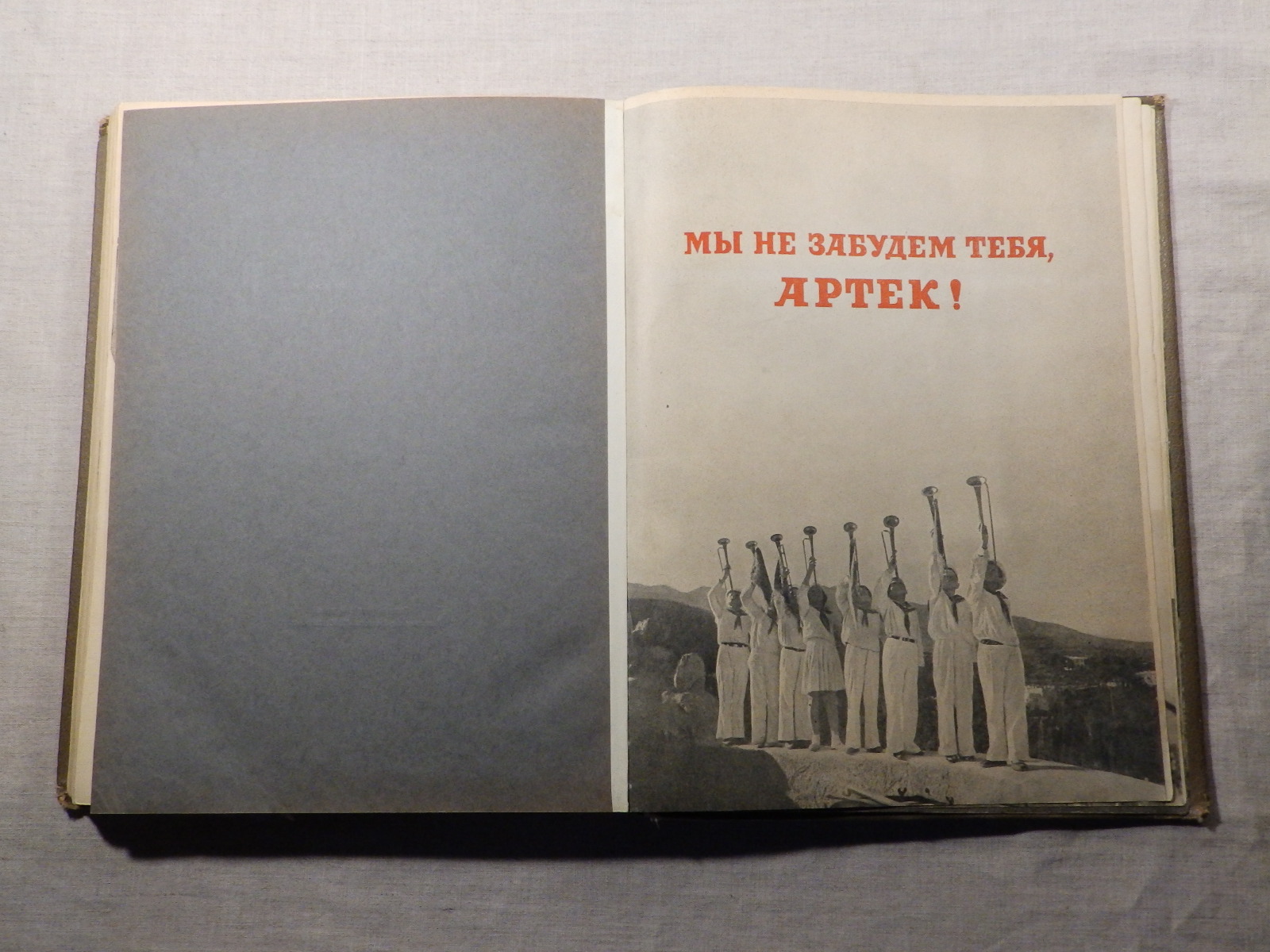 1940 год «АРТЕК» Медгиз, тираж 3 тыс. экземпляров (Книга-альбом) (180)