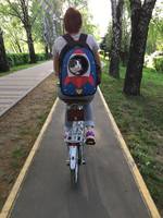 Кошки в нашей жизни. Кошки и все, что с ними связано. Кошки в нашей жизни. Кошки и все, что с ними связано.