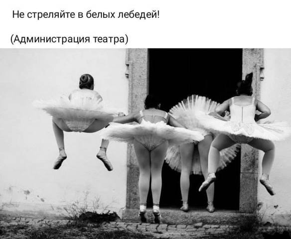 http://images.vfl.ru/ii/1564747941/88091a21/27414760_m.jpg