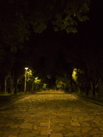 Публикувано изображение