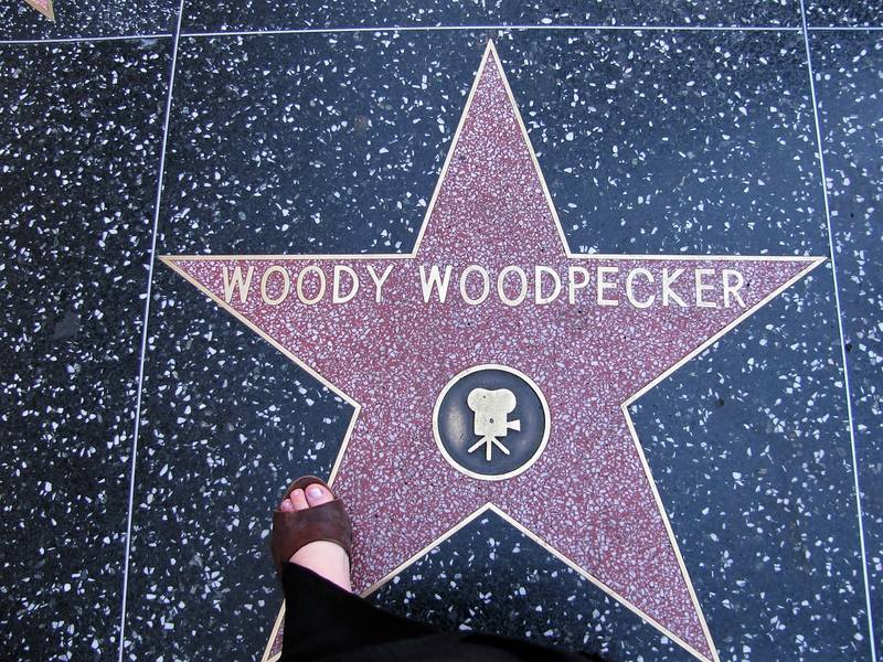 Hollywood Hollywood