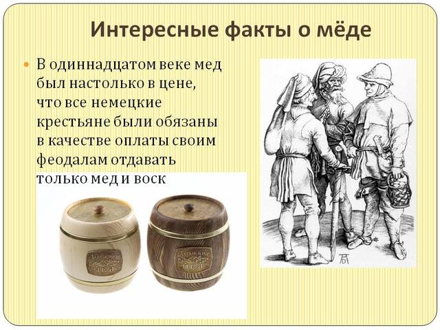 Пчёлки очень любят мёд