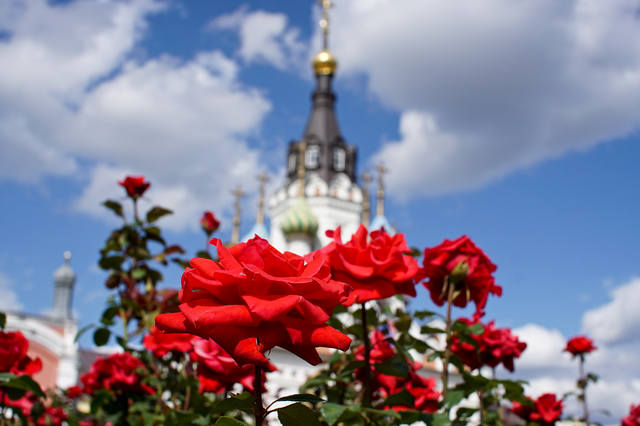 VFL.RU - ваш фотохостинг VFL.RU - ваш фотохостинг