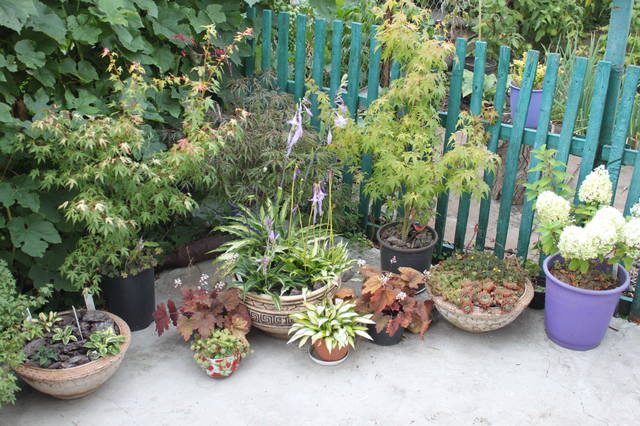 Чайная беседка