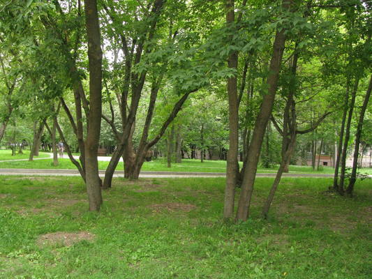 VFL.RU - ваш фотохостинг VFL.RU - ваш фотохостинг