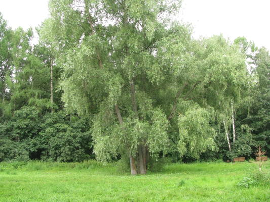 VFL.RU - ваш фотохостинг VFL.RU - ваш фотохостинг