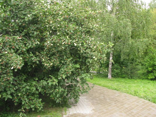 VFL.RU - ваш фотохостинг VFL.RU - ваш фотохостинг