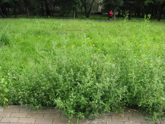 VFL.RU - ваш фотохостинг VFL.RU - ваш фотохостинг