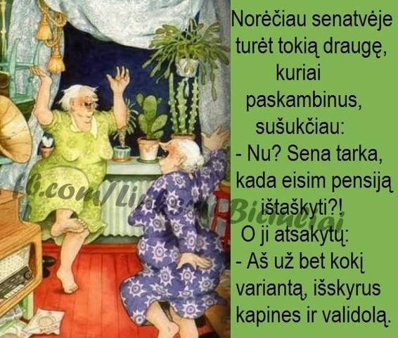 vartotojo kelta nuotrauka